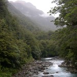 DSCN0501